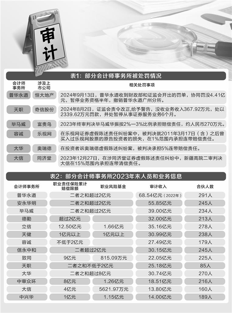 西充县审计局最新项目，深化财政审计，强化财政监管