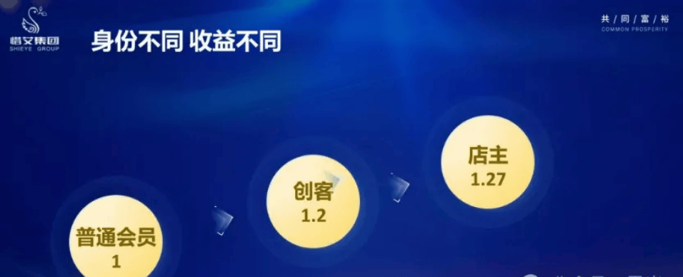 白小姐一肖一码，揭秘预测之谜与行动落实的深层含义