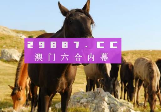 澳门精准四不像正版与细腻释义解释落实的深度解析