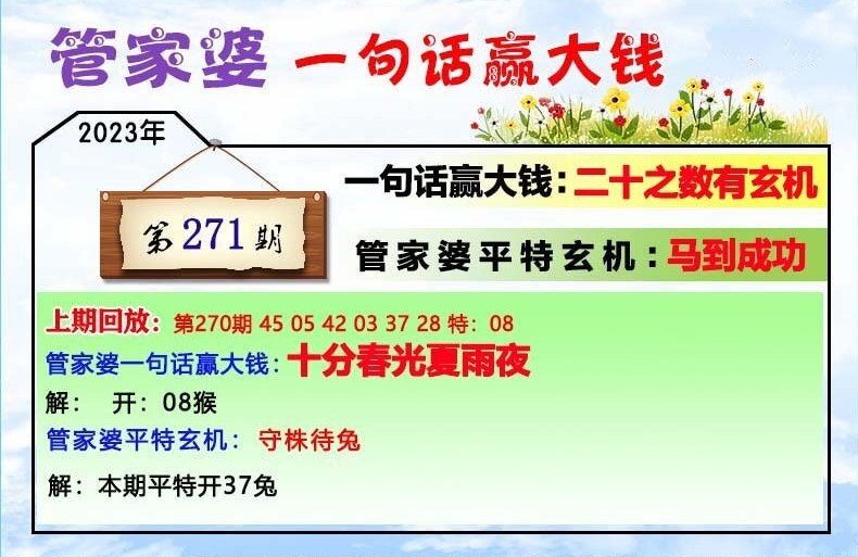 探索202管家婆一肖一码，释义、解释与落实