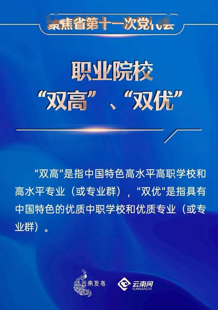 天赋释义与行动落实，聚焦澳门特马在2024年的未来展望