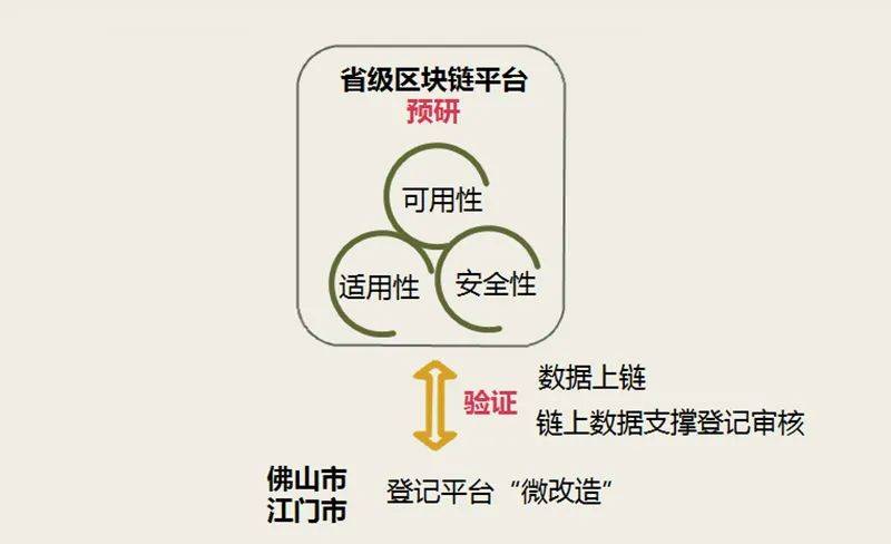 探索2024新澳正版免费资料的特点，深度解读与落实策略