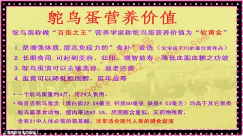 澳门特马今晚开奖53期，计谋释义与落实策略