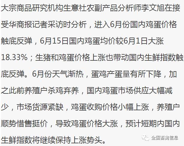 探索未知，关于新澳今晚资料鸡号及飞速释义的深入解析与落实