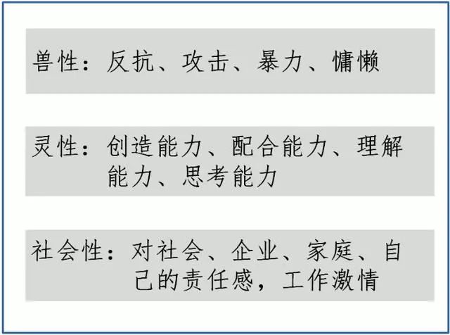 全车改装套件 第5页