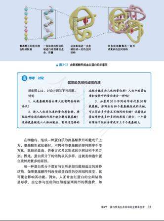 关于新澳正版资料最新更新的探讨与落实解释的文章