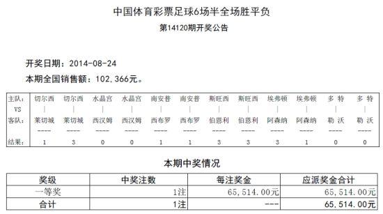 探索未来彩票奥秘，一肖一码一中一特评估释义与落实策略（XXXX年视角）