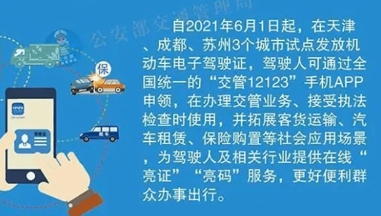 2025年正版免费天天开彩——区域释义解释落实策略展望