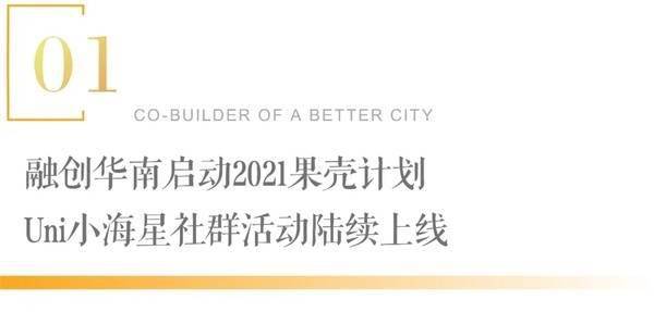 探索澳门正版资料与春风释义的深层内涵——面向未来的落实之路