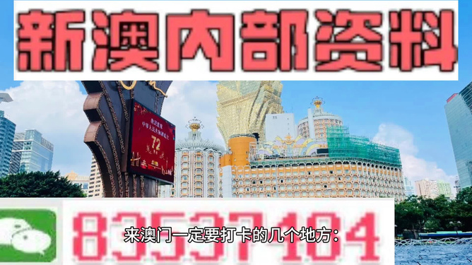 关于新澳精准资料提供网站在2025年的执释义解释与落实策略