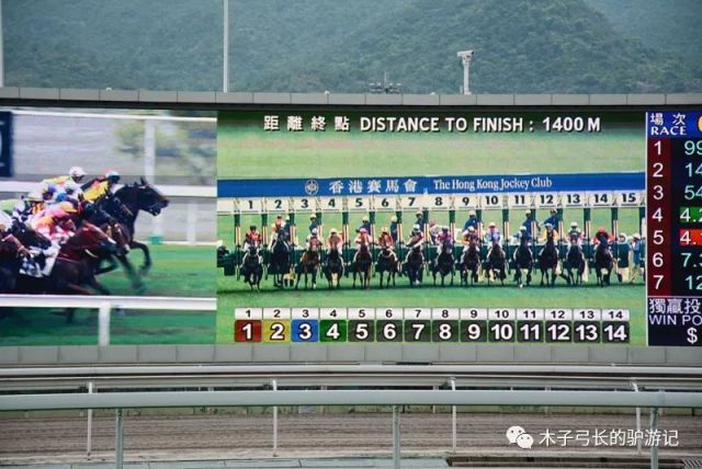 关于香港特马赛事的讨论与释义解释落实的探讨