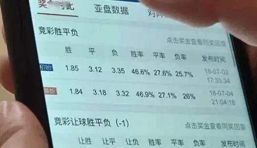 澳门彩票的未来与培养释义解释落实——警惕违法犯罪风险