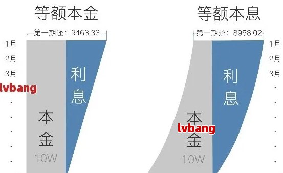 王中王资料大全及其相关释义解析与落实策略探讨