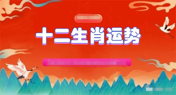 精准一肖一码一子一中，学习释义、解释与落实