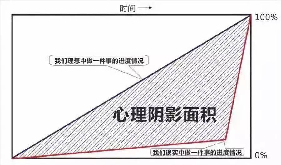 管家婆最准一码一肖，顾客释义解释落实的深度解析