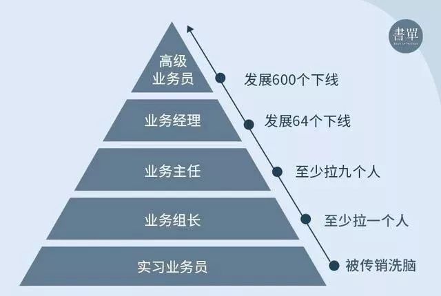 一码一肖，揭秘背后的秘密与落实联合释义的重要性