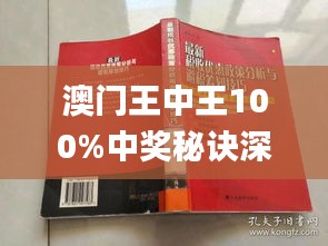 新澳门王中王期期精准预测与外包释义解释落实策略