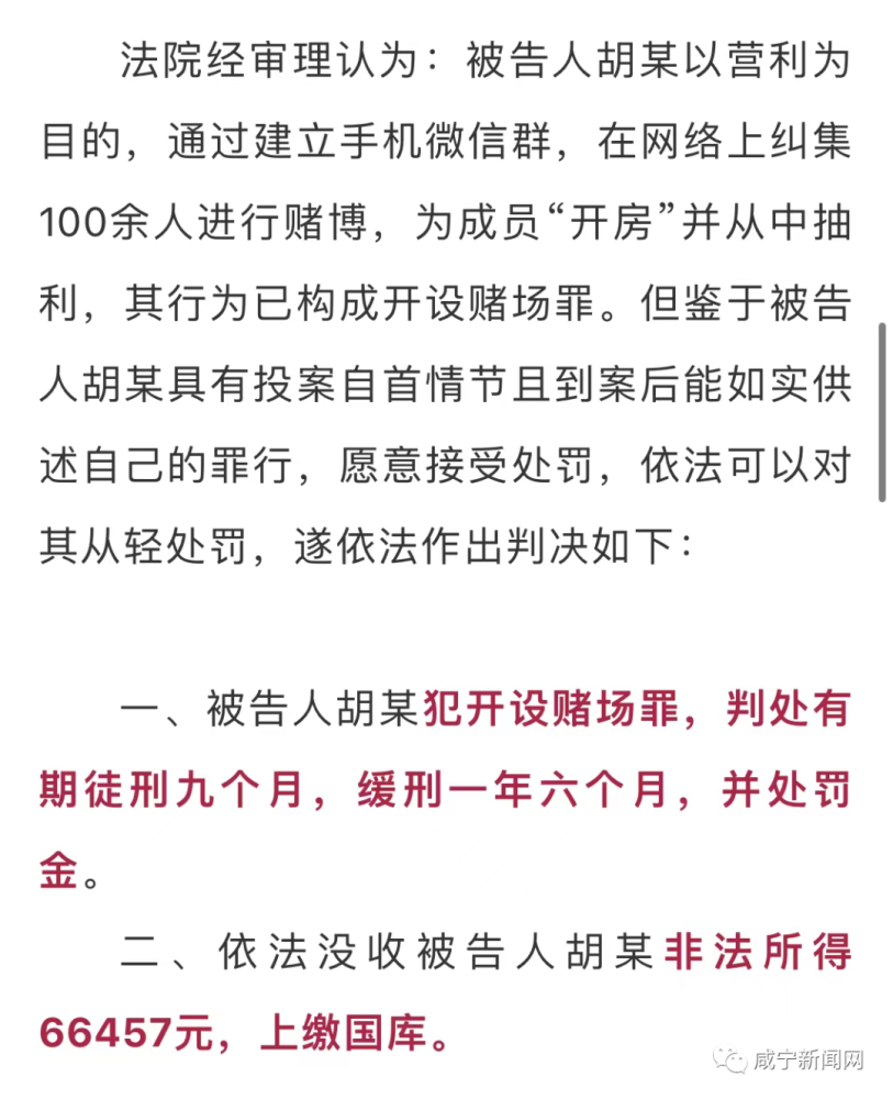 新澳门六开彩免费网站与立法释义解释落实，犯罪行为的探讨