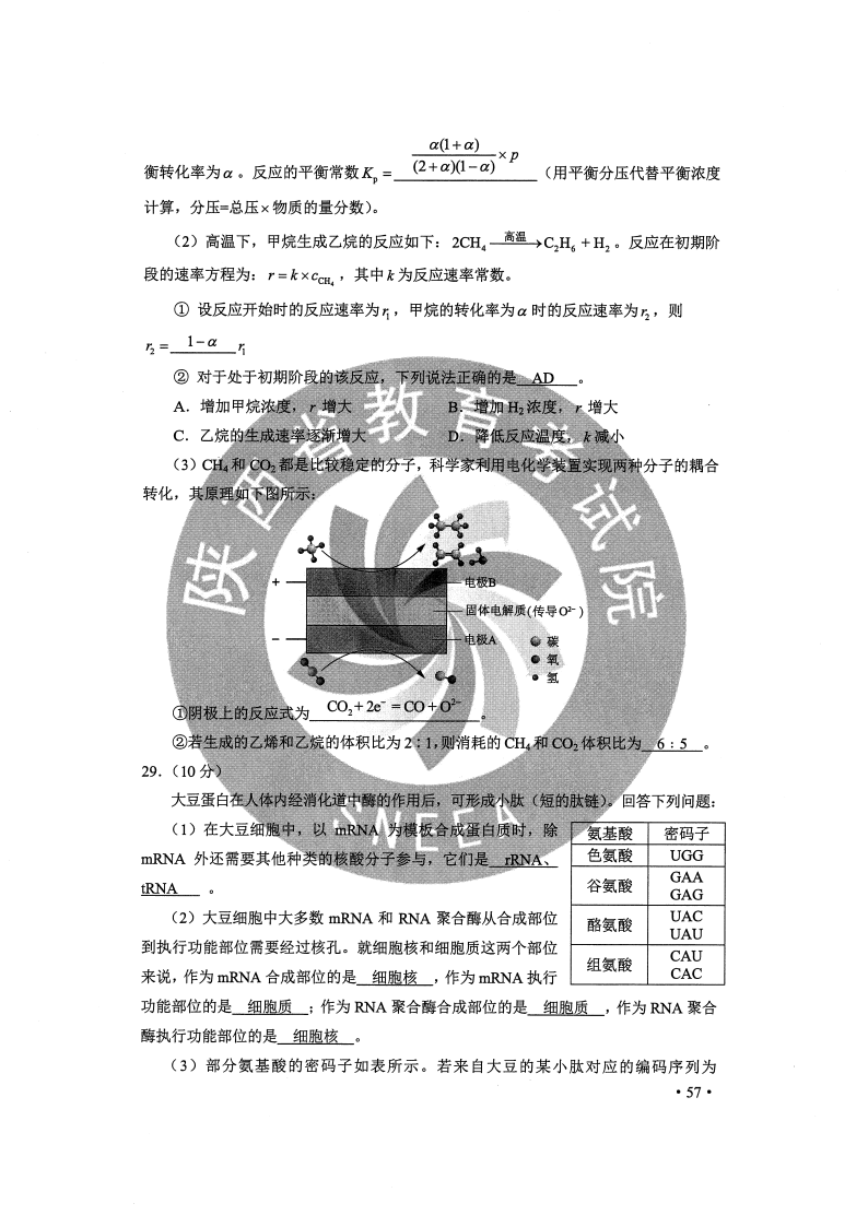 新澳资料大全正版2025综合，直面释义、解释与落实