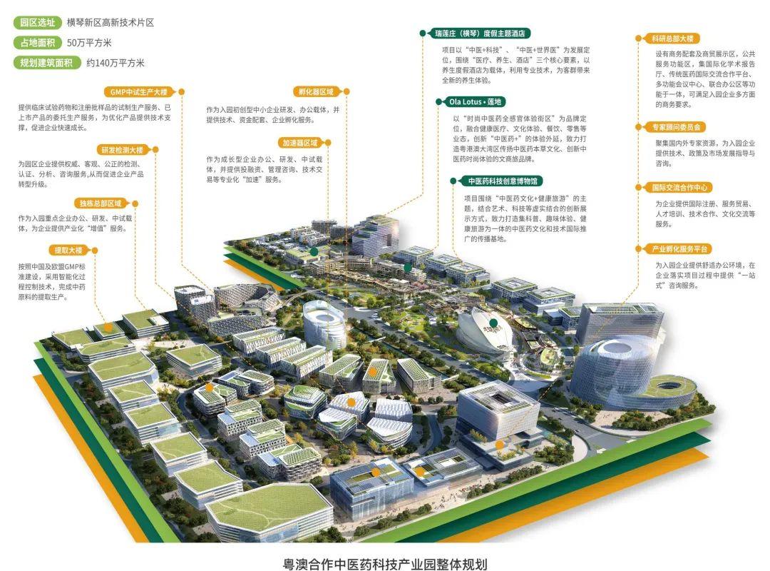 新澳门今晚最新的消息与未来展望，走向更加繁荣的2025年