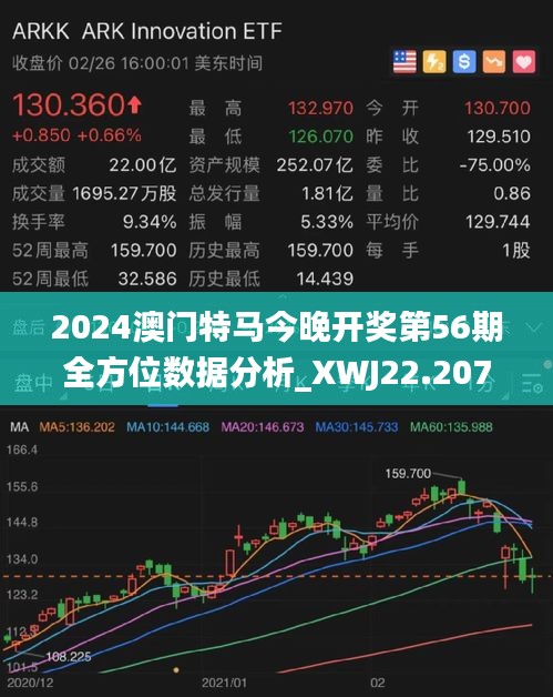 澳门特马今晚开什么，深度解析与落实观察