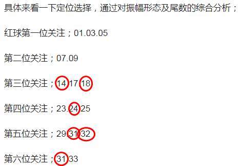 金龙彩资料版与网络释义解释落实，深度解析与探讨