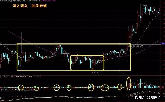 三肖三码最准的资料与跨领释义，深入解析与实际应用