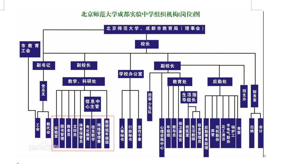 揭秘最准一码一肖，凤凰网绝招释义与落实策略