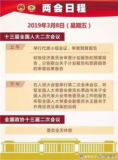 澳门天天开好彩大全第46期，精准释义、解释与落实展望