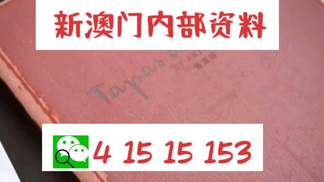 新澳门精准资料大全与管家婆料，释义、应用与落实