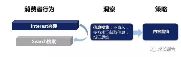 解读澳家婆一肖一特，明智释义与行动落实的关键要素