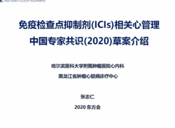 香港特马六期展望与释义解析，落实未来的机遇与挑战