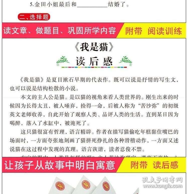 解析澳门新奥天天开好彩大全第85期与国内释义解释落实