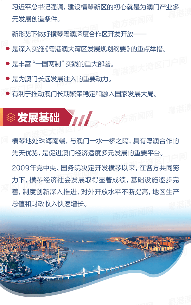 澳门100%最准一肖，深度解析与释义解释落实