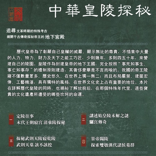 探索关键词背后的意义，澳门精准免费大全凤凰网与性执释义解释落实