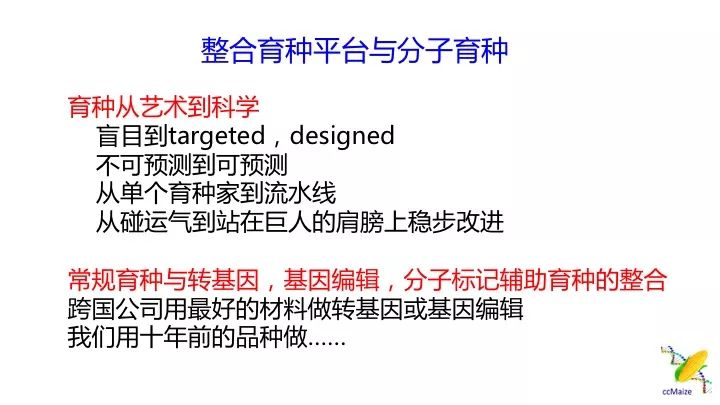 澳门平特一肖100最准一肖必中，迎接释义解释落实的挑战