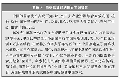 解读新澳开奖记录与名师释义，走向未来的落实之路