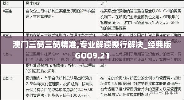 新澳门三中三码精准技术，释义解释与落实策略