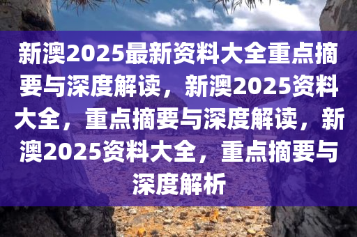 新澳2025正版资料免费公开，增强释义解释落实的重要性