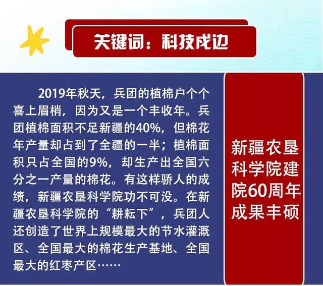 探索关键词背后的故事，澳门王中王与洗练释义的落实之旅