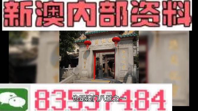 新澳门精准资料大全与管家婆料，适用释义、解释及落实