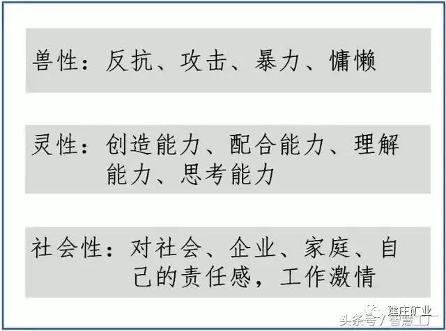 三肖三期必出特马——习性释义解释落实