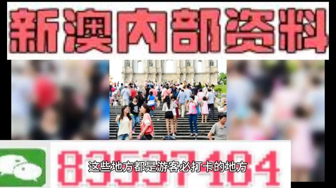 新澳精准资料大全与责任释义，落实行动与担当