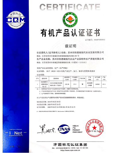 澳门特马开奖与产权释义的深度解读与实施策略