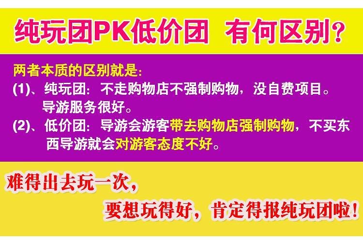 新澳门2025年天天开好彩活动释义解释落实展望