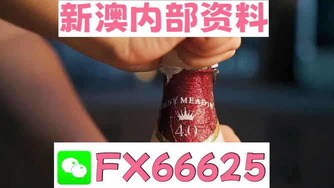 一码一肖，资料的深度解读与推敲释义的落实