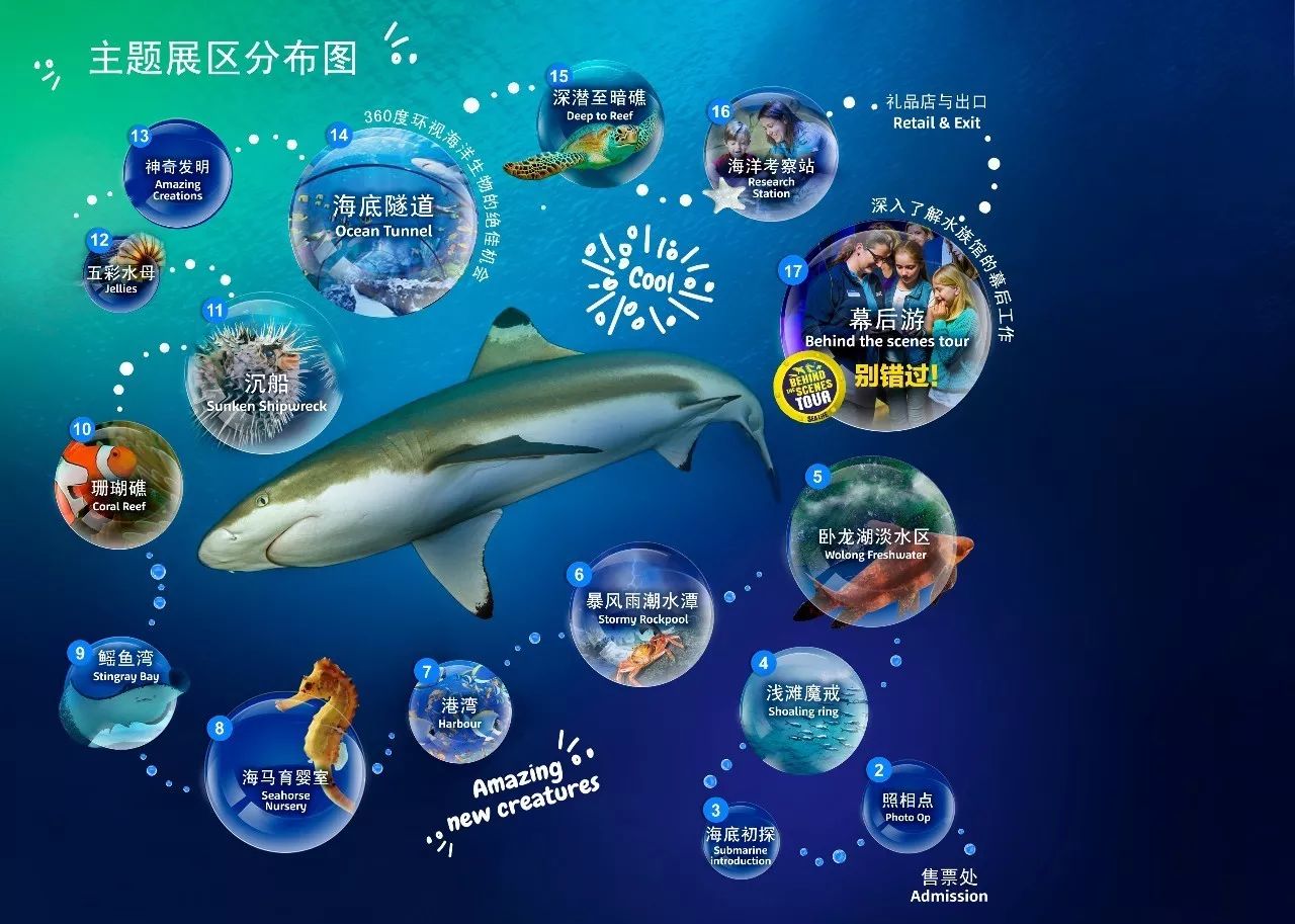 探索未来知识海洋，2025正版资料免费大全最新版本的亮点优势与反思