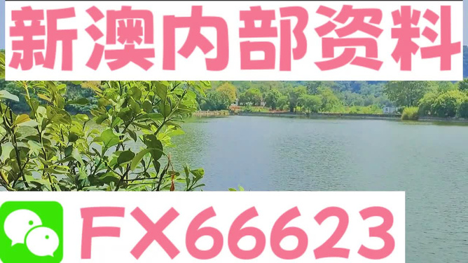 新澳精准资料大全免费，再造释义、解释与落实的重要性