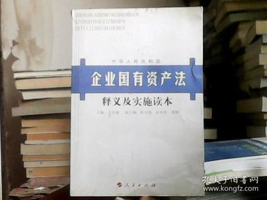 澳门资产释义解释落实，走向精准龙门的关键要素分析