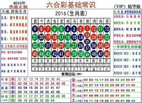 揭秘十二生肖与数字49的奇妙联系，一份详尽的码表与真挚释义解释落实之旅